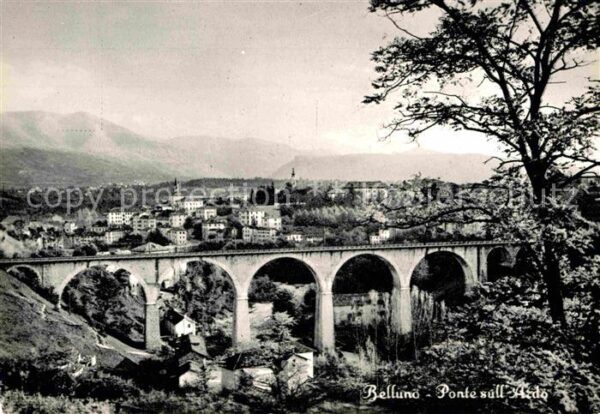 Belluno Ponte sull Ardo Brücke