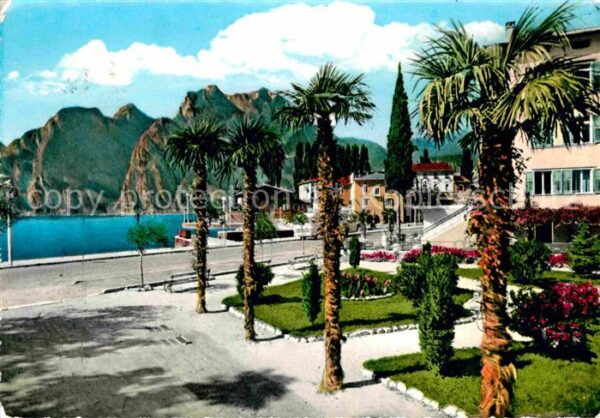 Torbole Lago di Garda Uferpromenade Gardasee Palmen