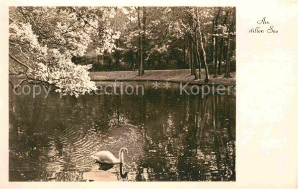Verlag Amag Nr. Am stillen See Schwan