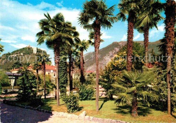 Arco Trentino I palmizi Palmen