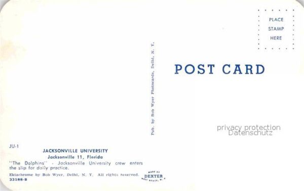 Jacksonville Florida University Ruderer The Dolphins – Bild 2