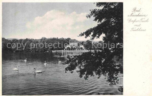 Bad Nauheim Teich Schwäne Teichhaus