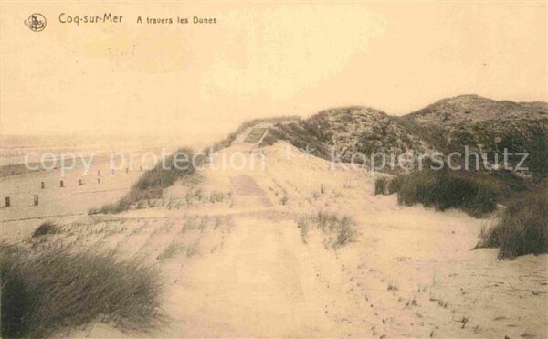 Coq sur Mer A travers les Dunes