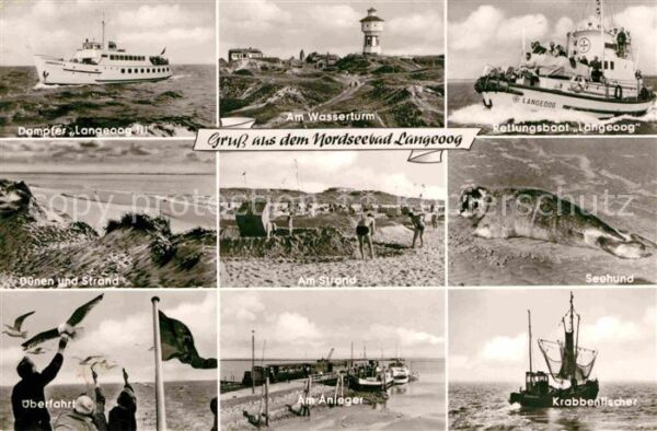 Langeoog Nordseebad Wasserturm Seehund Strand Anleger Krabb