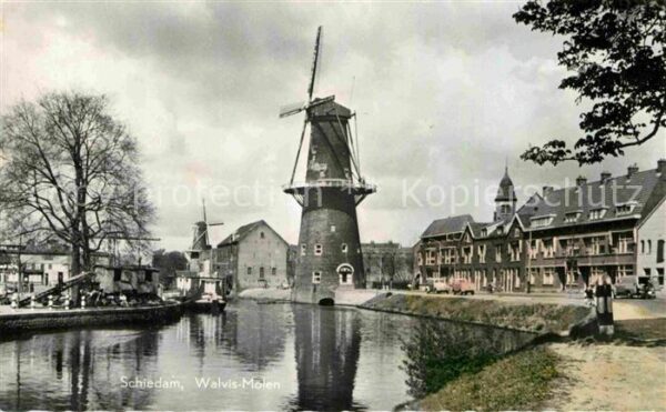 Schiedam Walvis-Molen