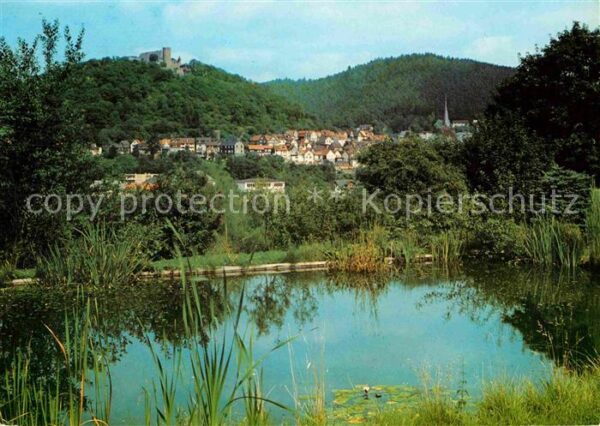 Biedenkopf Kurort an der Lahn