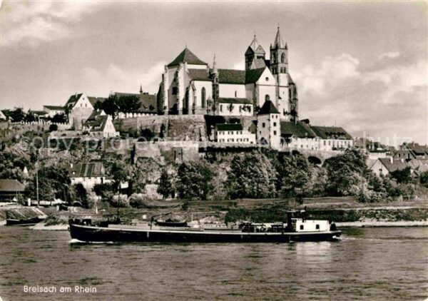 Breisach Rhein Rheinpartie mit Münster