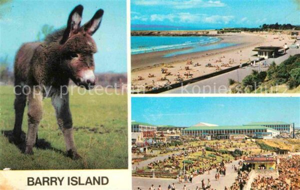 Barry The Sands Promenade Esel