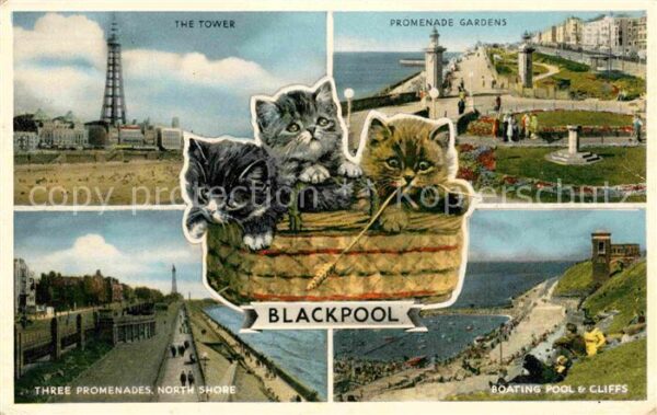 Blackpool The Tower Promenade Gardens Three Prome