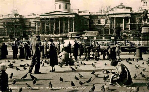 London Feeding the Pigeons in Trafalgar Square
