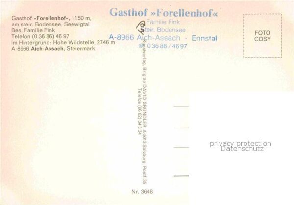 Aich Assach Steiermark Gasthof Forellenhof steirischer Bodense – Bild 2