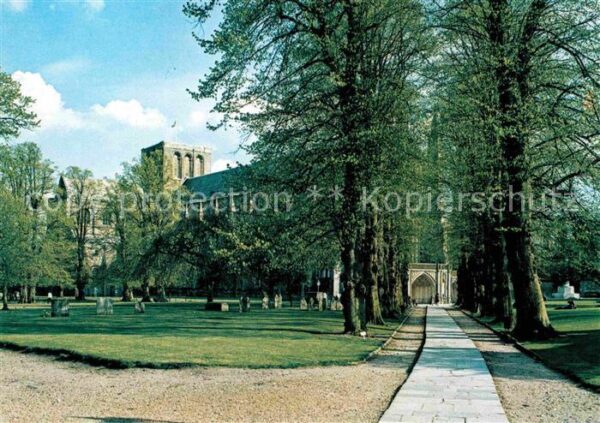 Winchester Cathedral Lime Walk