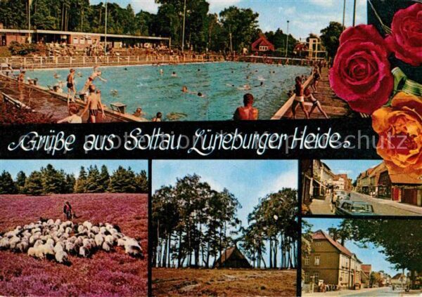 Soltau Schwimmbad Ortsansichten Schafherde Lün