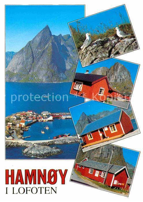 Hamnoy Hafen Wohnhäuser Wasservögel Berge