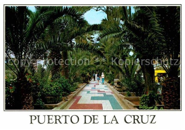 Puerto de la Cruz Paseo de las Palmeras