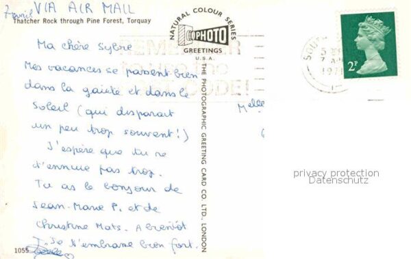 Torquay UK Thatcher Rock Pinienwald – Bild 2