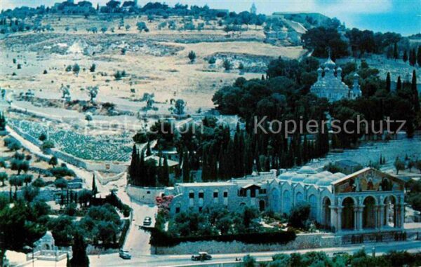 Jerusalem Yerushalayim Gethsemane Ölberg