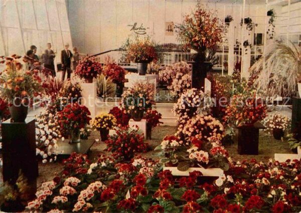 Erfurt Internationale Gartenbauausstellung Ros