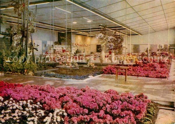 Erfurt Internationale Gartenbauausstellung Blu