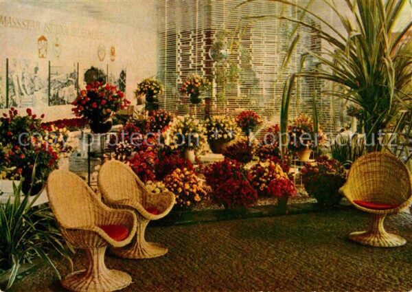 Erfurt Interntionale Gartenbauausstellung Rose