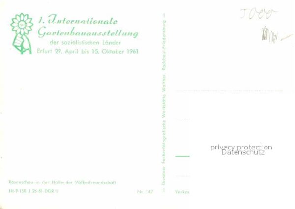 Erfurt Interntionale Gartenbauausstellung Rose – Bild 2