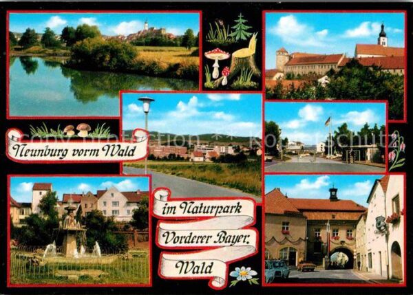 Neunburg Wald Brunnen Stadttor Ortsansichten