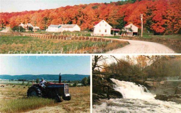 Saint Alban Quebec Paysage automne Activites agricoles chu