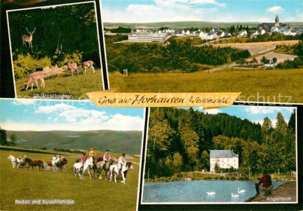 Horhausen Westerwald Grenzbachtal Reiten Angelteich