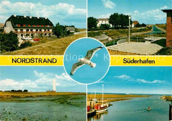 Nordstrand Möwe