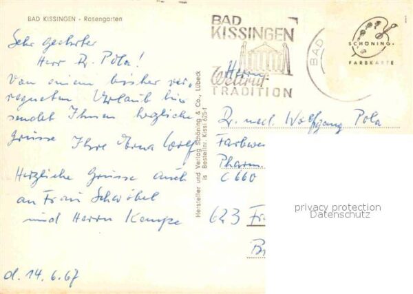 Bad Kissingen Rosengarten – Bild 2