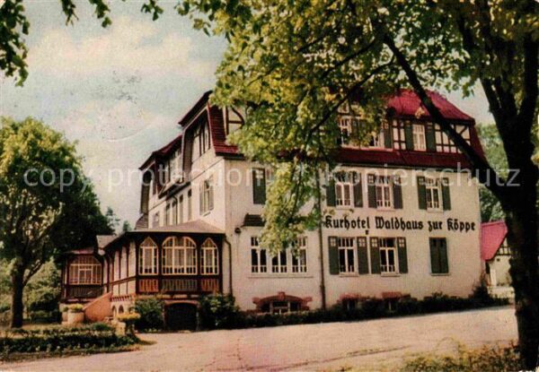 Bad Klosterlausnitz Kurhotel Waldhaus zur Köppe