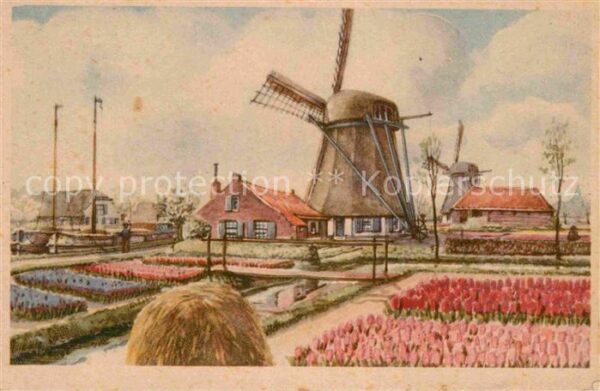 Niederlande Windmühle Künstlerkarte