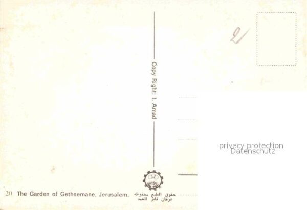 Jerusalem Yerushalayim the Garden of Gethsemane – Bild 2