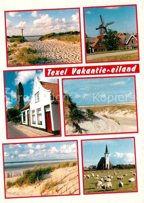 Texel Vakantie Eiland Mühle Schafe Strand