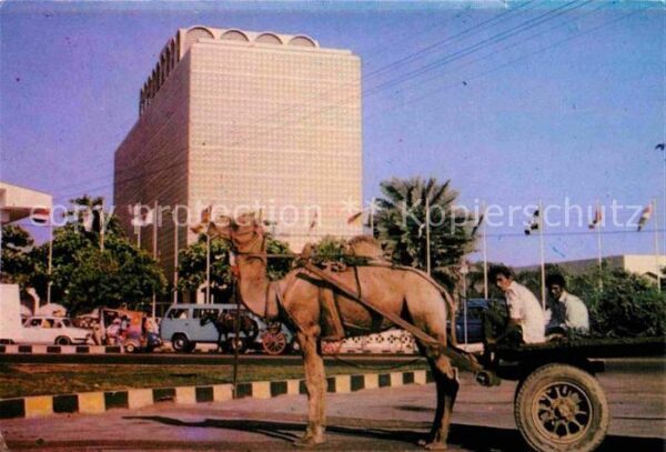 Karachi Camel Cart