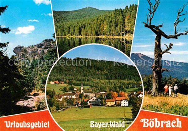 Boebrach