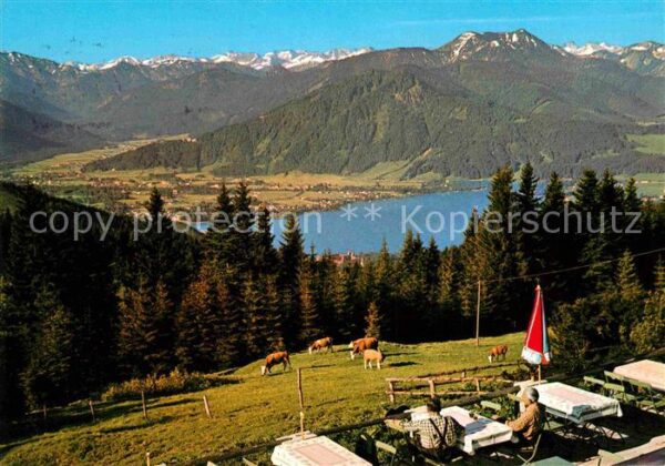 Rottach-Egern Kreuther Tal  Blick von der Neureuth au