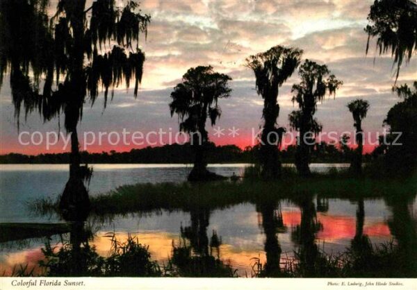 Florida US-State Colorful Sunset