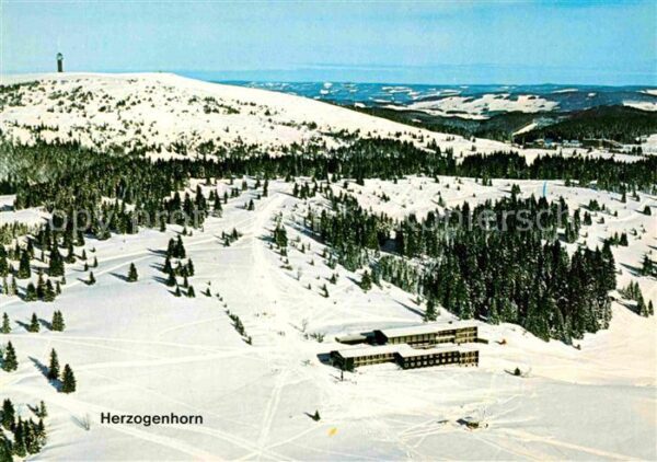 Herzogenhorn Winterlandschaft Luftbild
