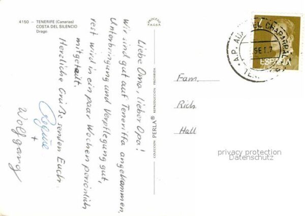 Tenerife Costa del Silencio Drago – Bild 2