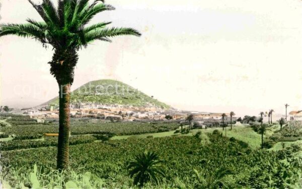 Gran Canaria Montana Cardones