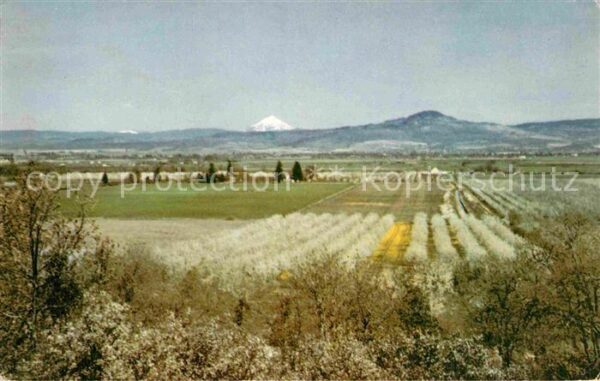Rogue River Valley Oregn