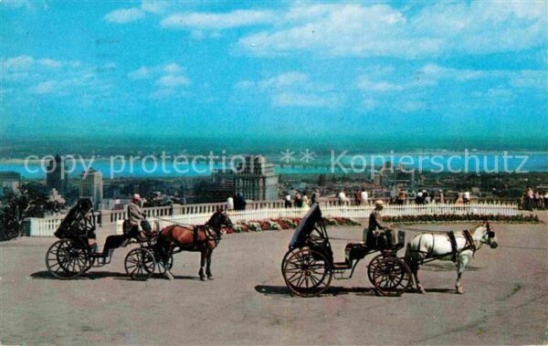 Montreal Quebec Old French Horsedrawn Carriages on Moun