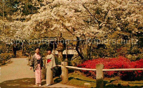 San Francisco California Japanese Tea Garden