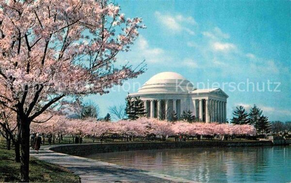 Washington DC Jefferson Memorial At Cherry Blossom Ti