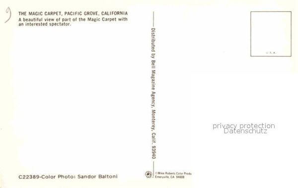 Pacific Grove The Magic Carpet – Bild 2