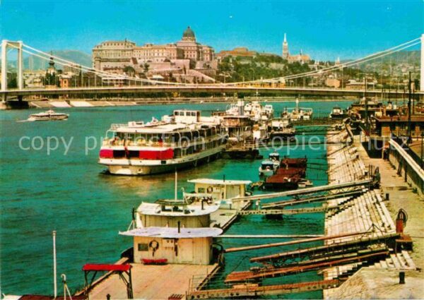 Budapest Donaupartie mit Elisabethbrücke