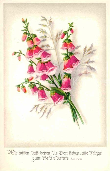 Blumen Römer 828