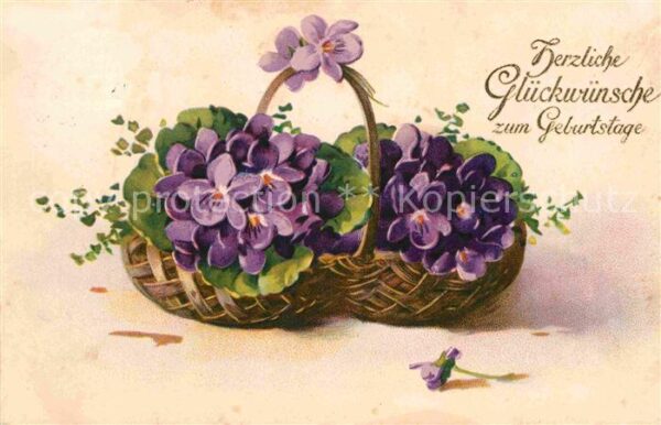 Geburtstag Veilchen Litho
