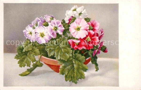 Blumen